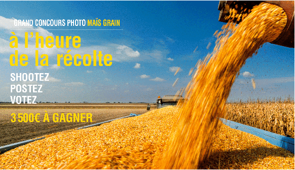 Jeu concours photo Facebook 