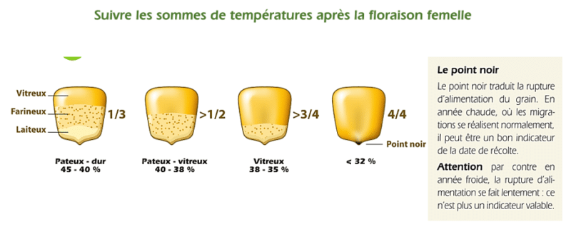 Maïs sec, humide ou épi, pour les VLHP, vous préférez quoi ?