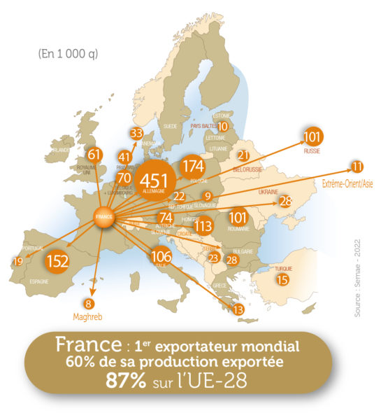 Carte de l'Europe présentant les principaux pays vers lesquels la France exporte ses semences produites