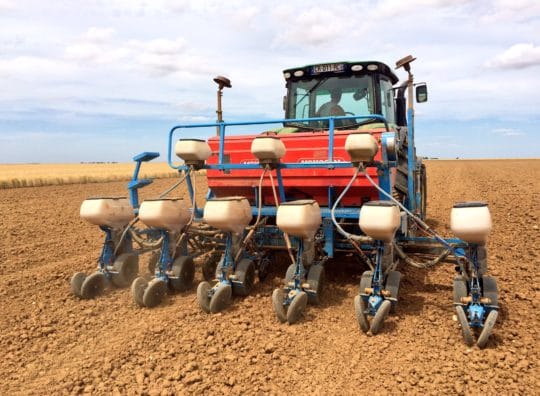 Des perspectives de semis en hausse au printemps : l’attrait du maïs pour les agriculteurs européens