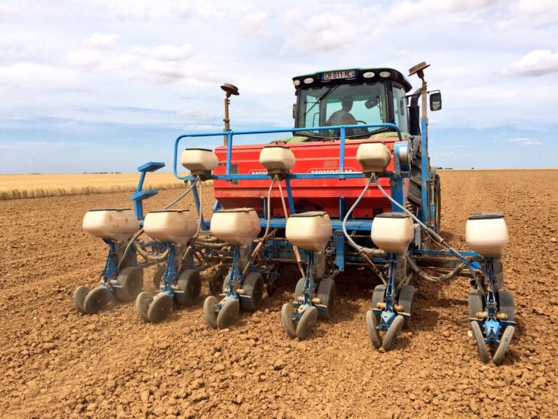 Des perspectives de semis en hausse au printemps : l’attrait du maïs pour les agriculteurs européens 